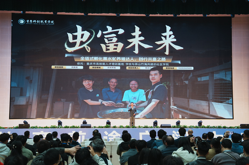 DSC08991_副本.jpg DSC08991_副本.jpg